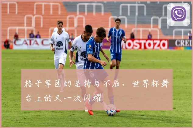 格子军团的坚持与不屈，世界杯舞台上的又一次闪耀
