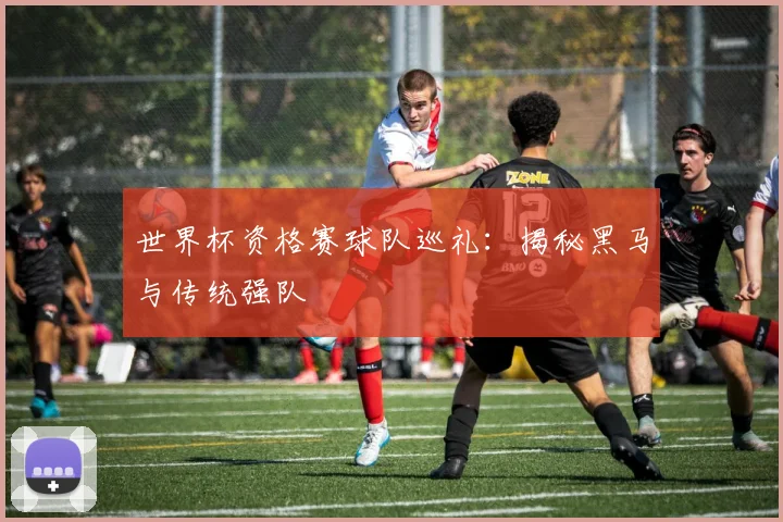 世界杯资格赛球队巡礼:揭秘黑马与传统强队