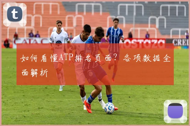 如何看懂ATP排名页面？各项数据全面解析