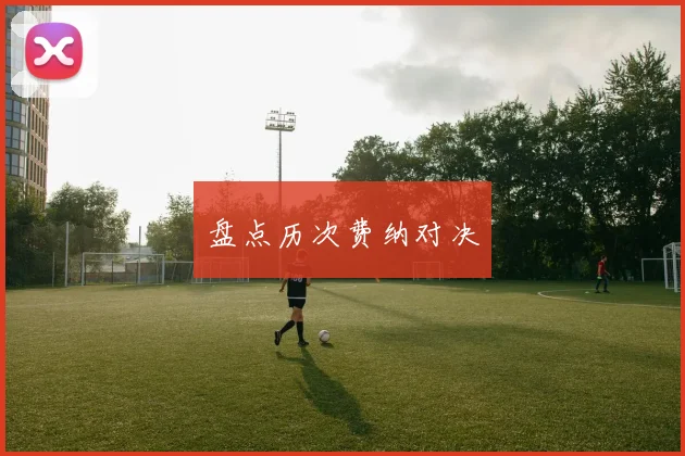 盘点历次费纳对决