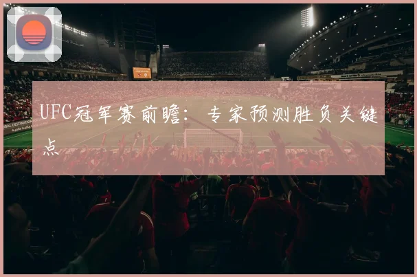 UFC冠军赛前瞻:专家预测胜负关键点