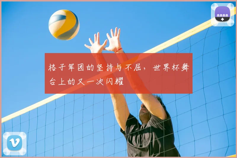 格子军团的坚持与不屈，世界杯舞台上的又一次闪耀