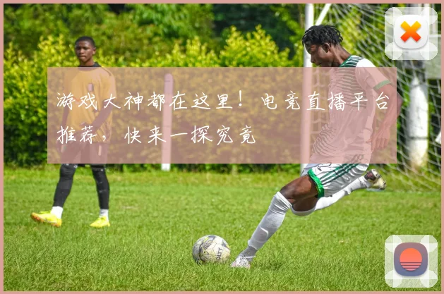 游戏大神都在这里!电竞直播平台推荐,快来一探究竟