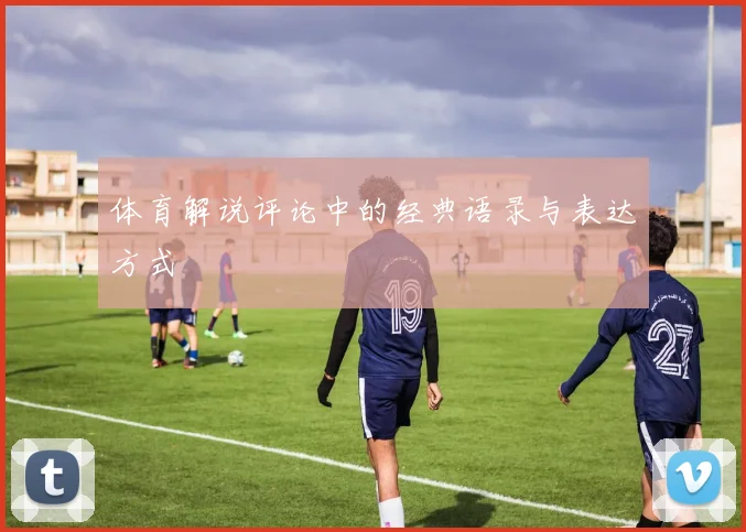 体育解说评论中的经典语录与表达方式