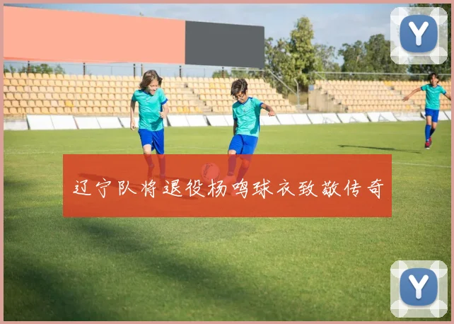 辽宁队将退役杨鸣球衣致敬传奇