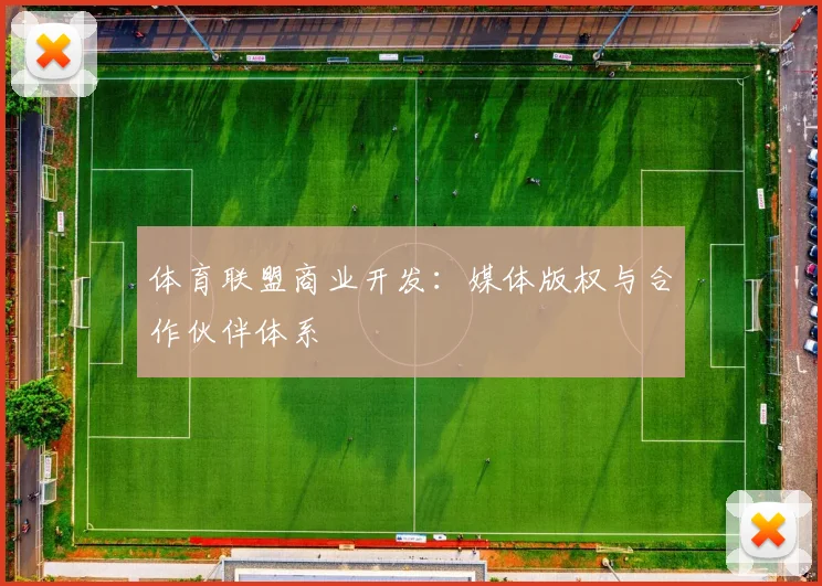 体育联盟商业开发:媒体版权与合作伙伴体系